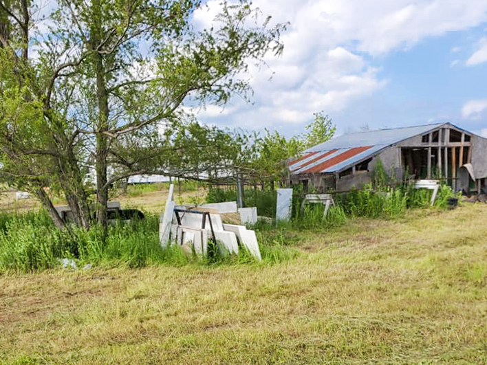 Property Clean Up and Junk Removal in Greenville and Northeast Texas